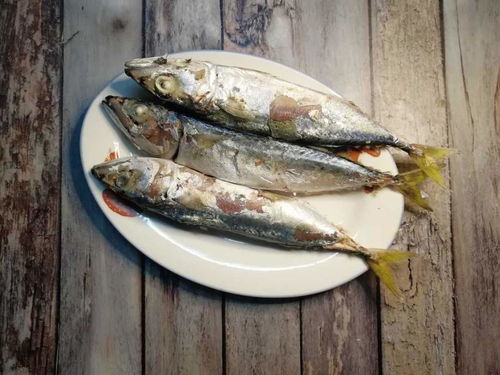 巴浪鱼的经典三道吃法 可高大上，可下饭，亦可回味童年