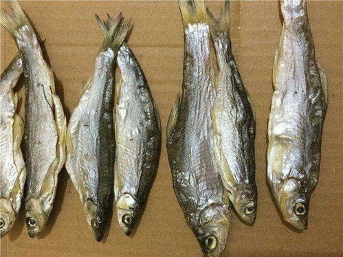 刨花鱼 从废料到美食的逆袭传奇