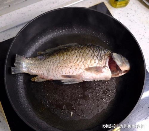 大厨透露 煮鱼汤牢记这2个要点，奶白鲜香无腥味，营养又好喝